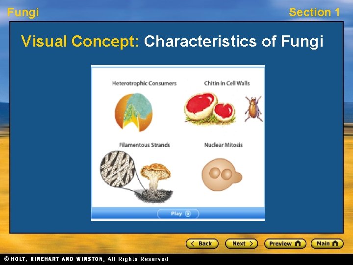 Fungi Section 1 Visual Concept: Characteristics of Fungi 