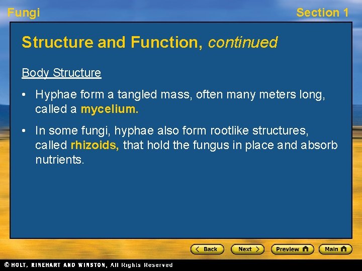 Fungi Section 1 Structure and Function, continued Body Structure • Hyphae form a tangled
