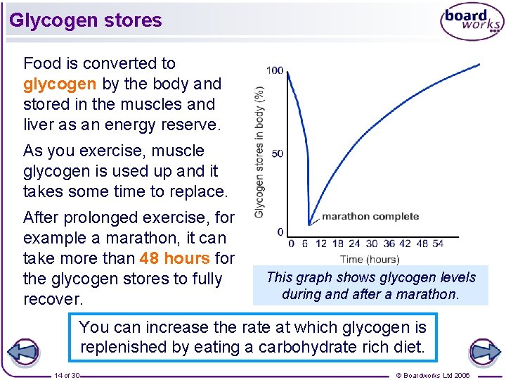 Glycogen stores Food is converted to glycogen by the body and stored in the
