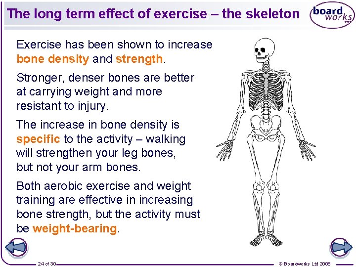 The long term effect of exercise – the skeleton Exercise has been shown to