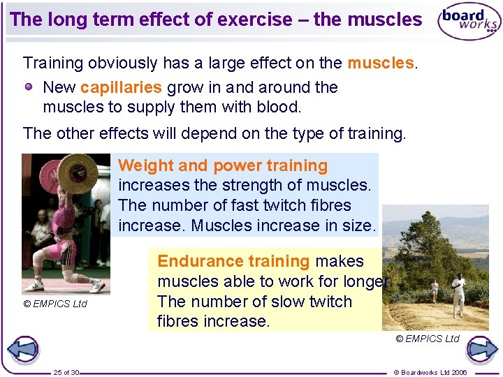 The long term effect of exercise – the muscles Training obviously has a large
