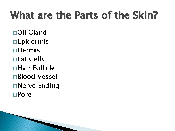 What are the Parts of the Skin? � Oil Gland � Epidermis � Dermis