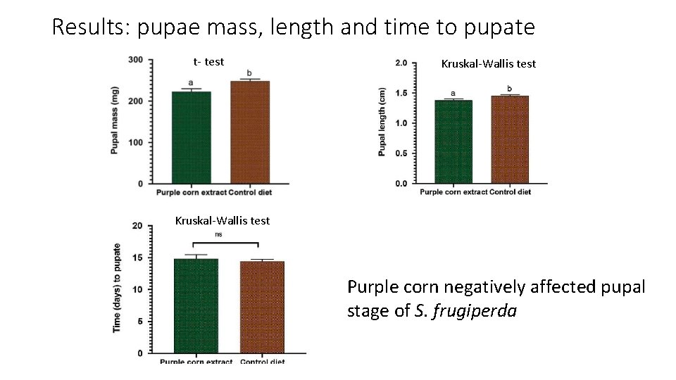 Results: pupae mass, length and time to pupate t- test Kruskal-Wallis test Purple corn