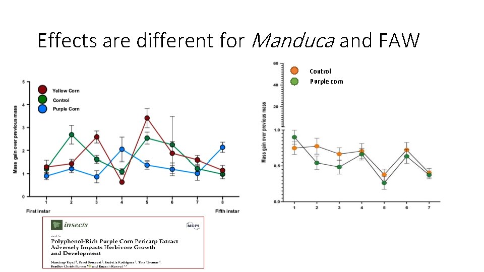 Effects are different for Manduca and FAW Control Purple corn 