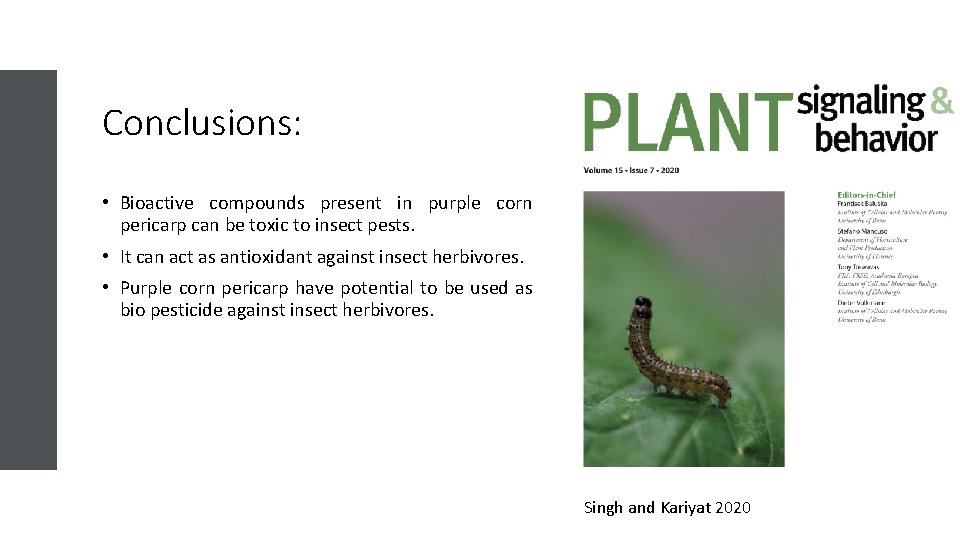 Conclusions: • Bioactive compounds present in purple corn pericarp can be toxic to insect