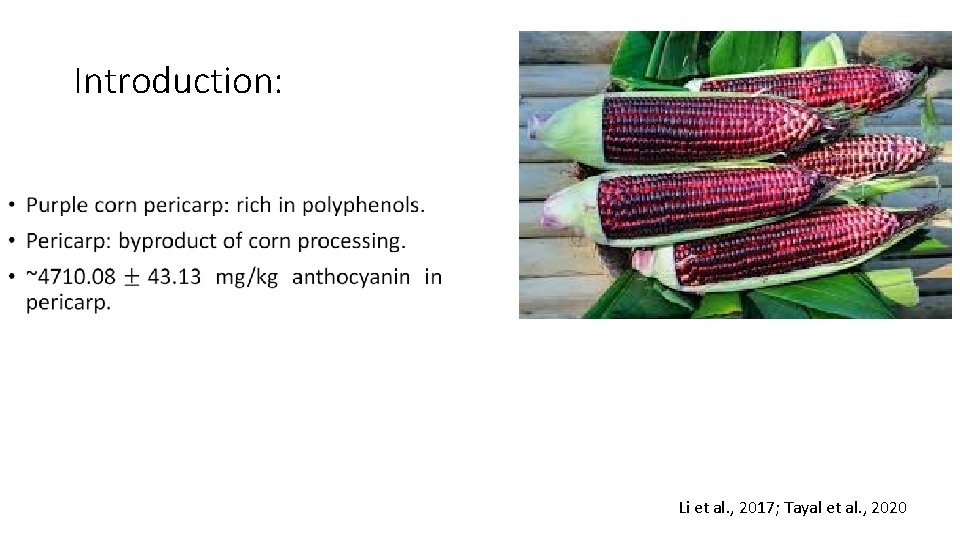 Introduction: • Li et al. , 2017; Tayal et al. , 2020 