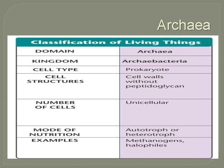 Archaea 