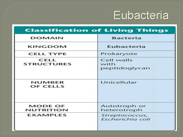 Eubacteria 