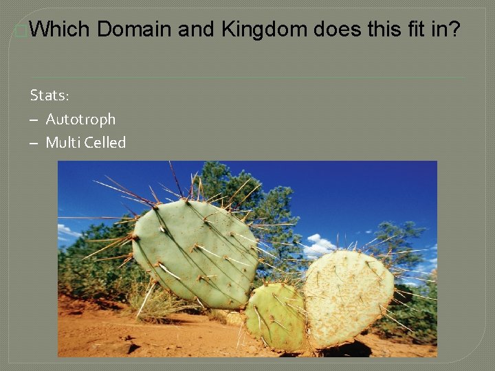 �Which Domain and Kingdom does this fit in? Stats: – Autotroph – Multi Celled