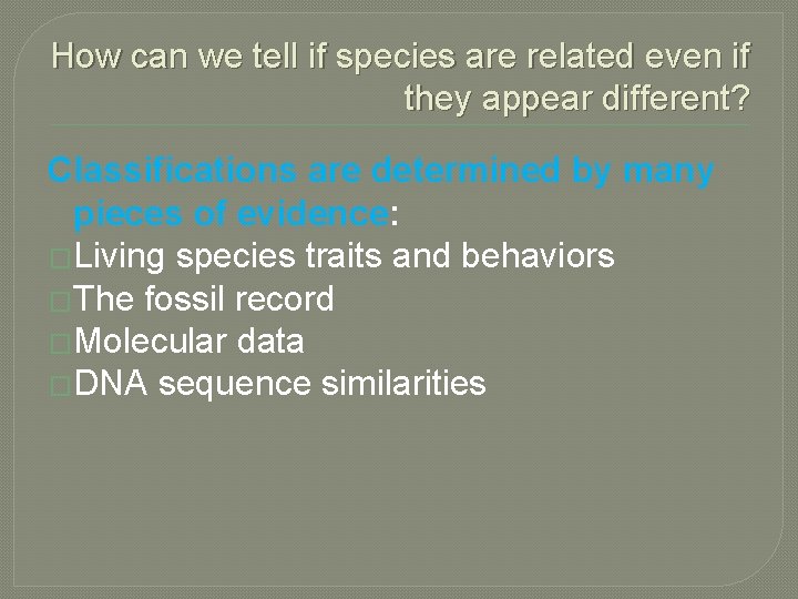 How can we tell if species are related even if they appear different? Classifications