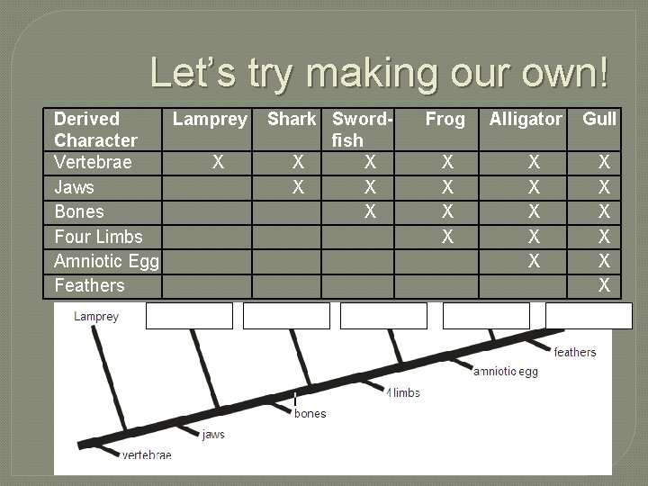 Let’s try making our own! Derived Lamprey Character Vertebrae X Jaws Bones Four Limbs