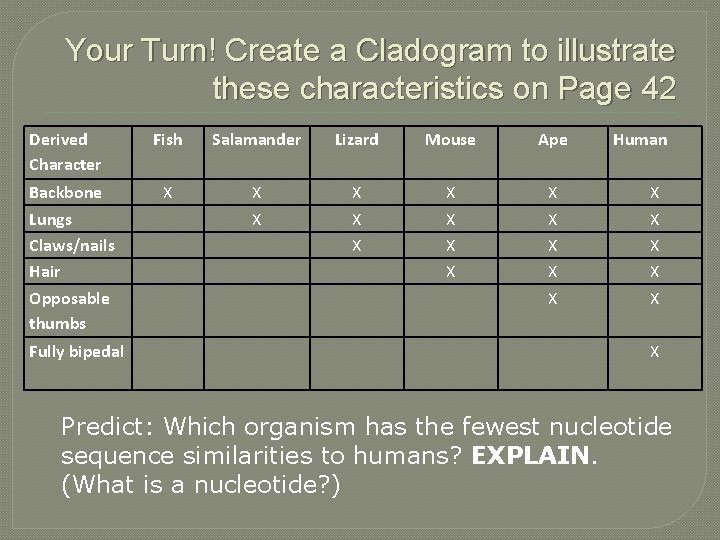 Your Turn! Create a Cladogram to illustrate these characteristics on Page 42 Derived Character
