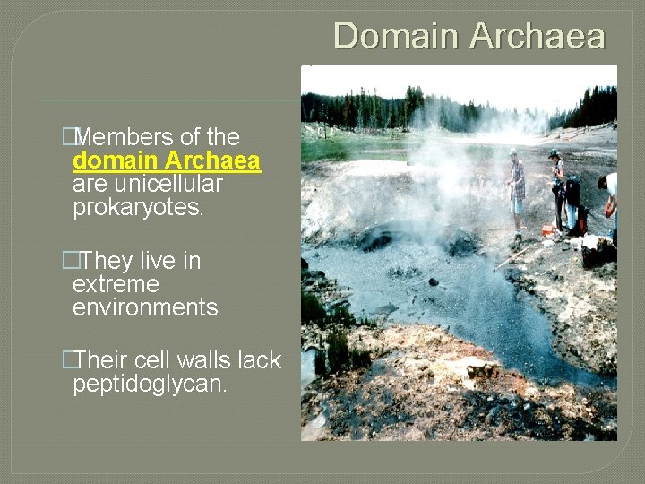 Domain Archaea �Members of the domain Archaea are unicellular prokaryotes. �They live in extreme