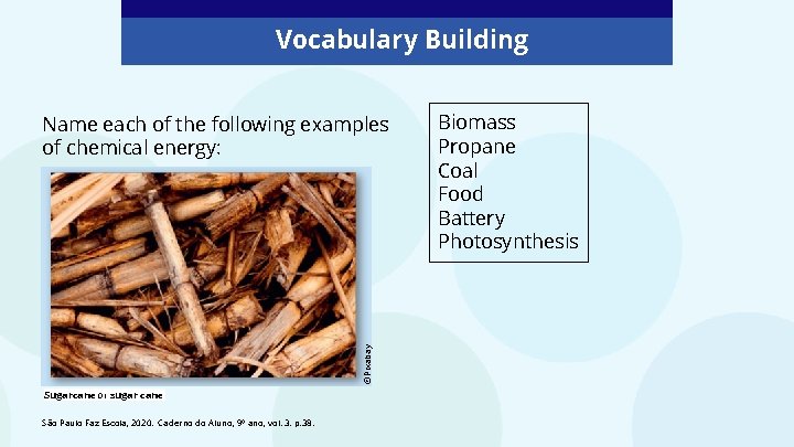 Vocabulary Building ©Pixabay Name each of the following examples of chemical energy: Sugarcane or