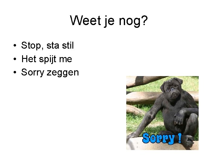 Weet je nog? • Stop, sta stil • Het spijt me • Sorry zeggen