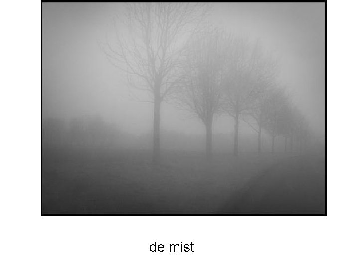 de mist 