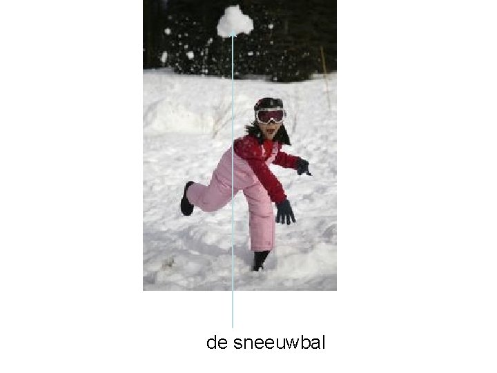 de sneeuwbal 