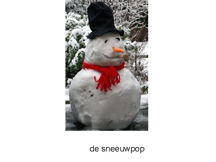 de sneeuwpop 