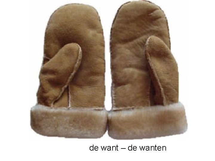 de want – de wanten 
