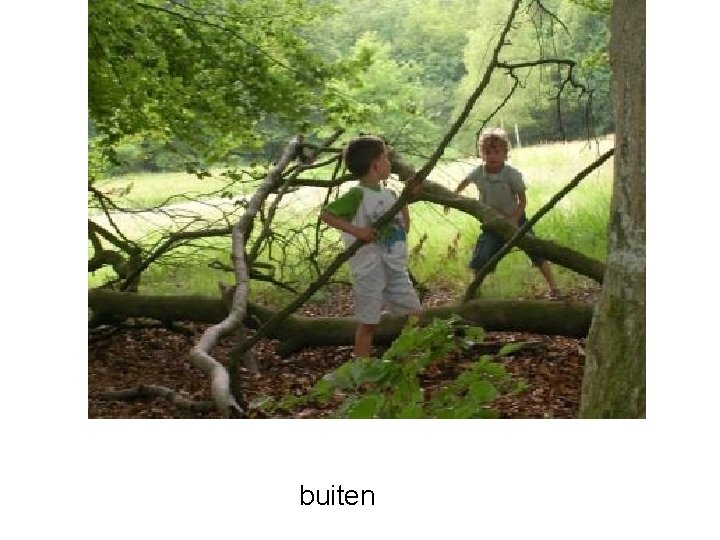 buiten 