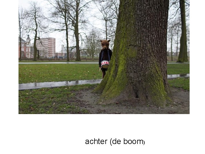 achter (de boom) 