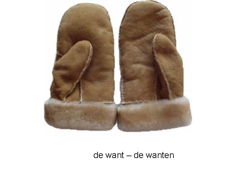 de want – de wanten 