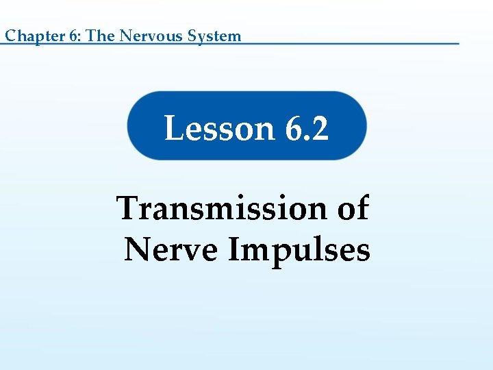 Chapter 6: The Nervous System Lesson 6. 2 Transmission of Nerve Impulses 