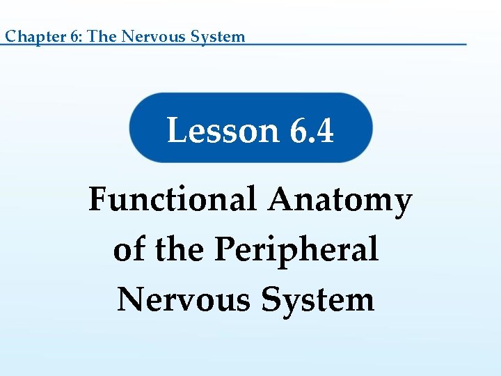 Chapter 6: The Nervous System Lesson 6. 4 Functional Anatomy of the Peripheral Nervous