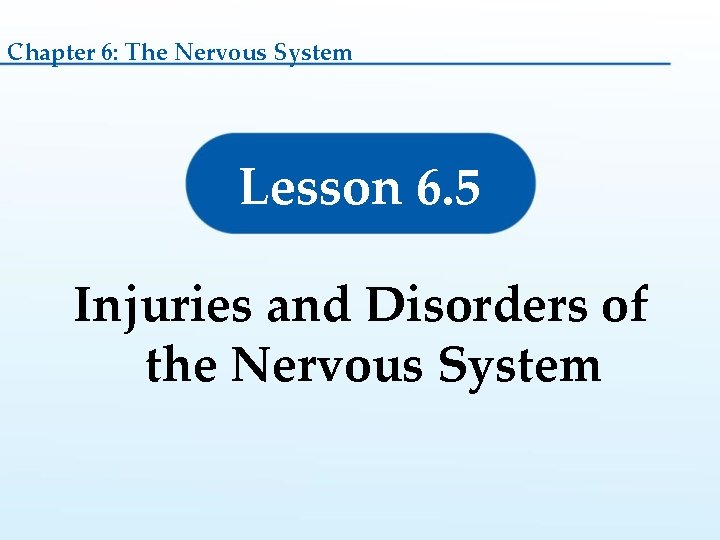 Chapter 6: The Nervous System Lesson 6. 5 Injuries and Disorders of the Nervous
