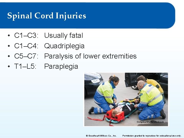 Spinal Cord Injuries • • C 1–C 3: C 1–C 4: C 5–C 7: