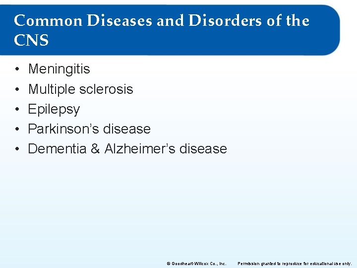 Common Diseases and Disorders of the CNS • • • Meningitis Multiple sclerosis Epilepsy