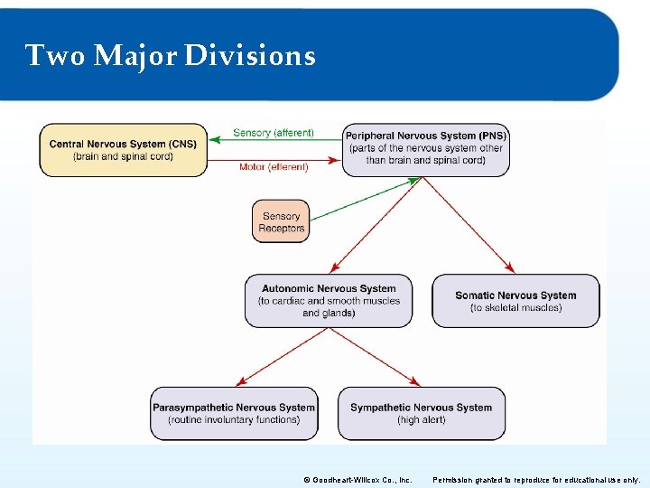 Two Major Divisions © Goodheart-Willcox Co. , Inc. Permission granted to reproduce for educational