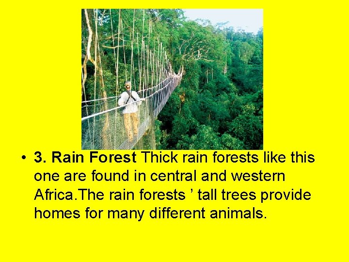  • 3. Rain Forest Thick rain forests like this one are found in