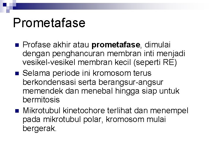 Prometafase n n n Profase akhir atau prometafase, dimulai dengan penghancuran membran inti menjadi