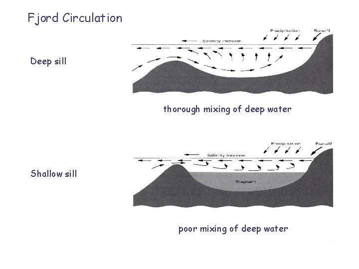 Fjord Circulation Deep sill thorough mixing of deep water Shallow sill poor mixing of