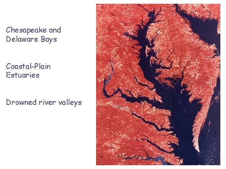 Chesapeake and Delaware Bays Coastal-Plain Estuaries Drowned river valleys 