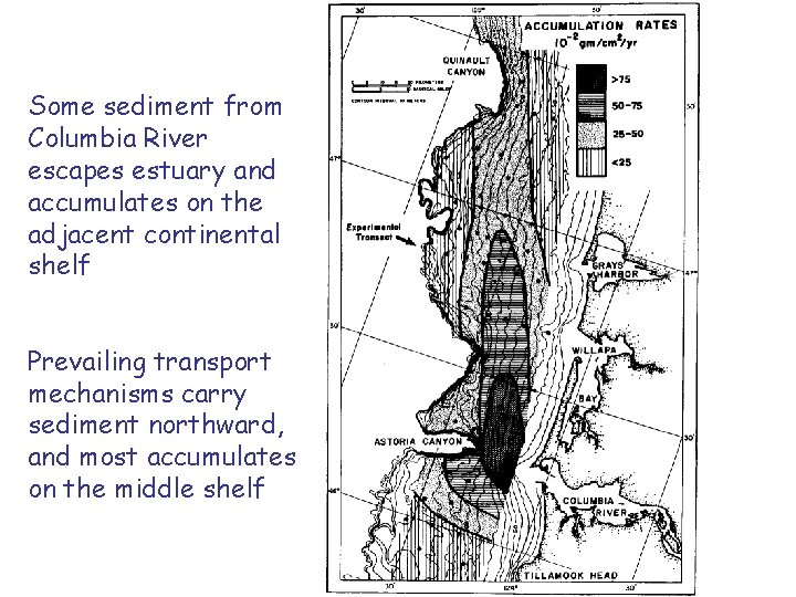 Some sediment from Columbia River escapes estuary and accumulates on the adjacent continental shelf