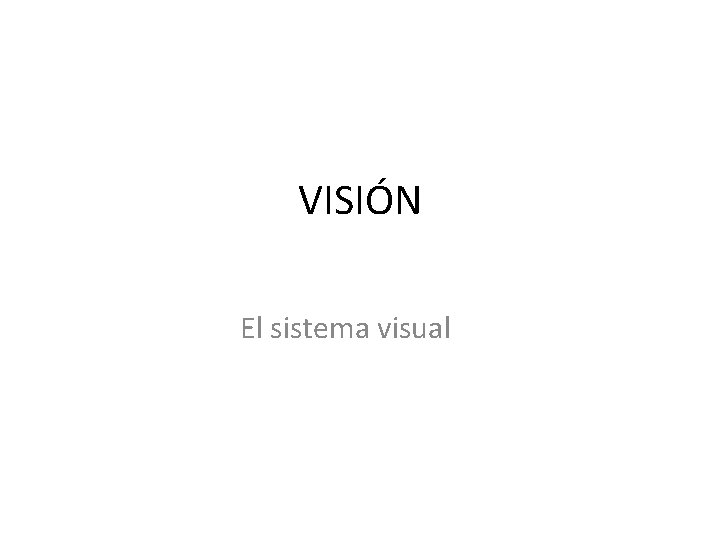 VISIÓN El sistema visual 