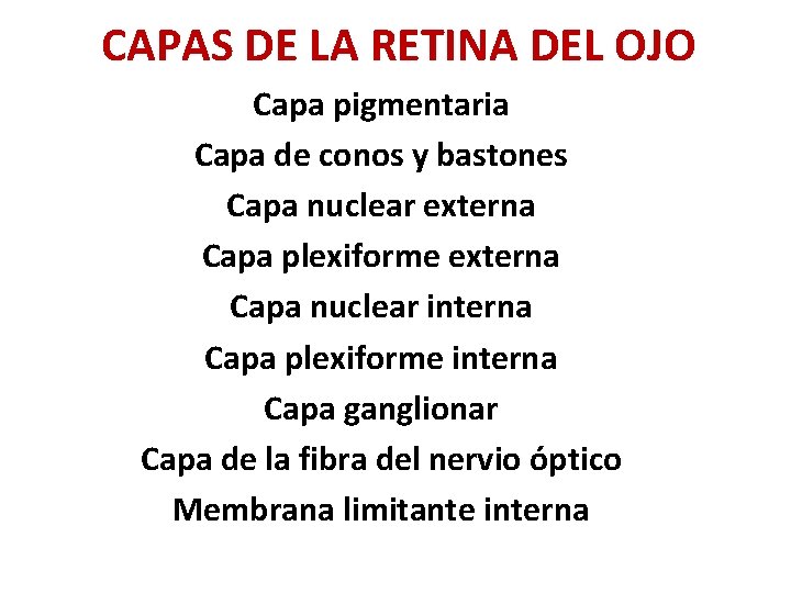 CAPAS DE LA RETINA DEL OJO Capa pigmentaria Capa de conos y bastones Capa CAPAS DE LA RETINA DEL OJO Capa pigmentaria Capa de conos y bastones Capa