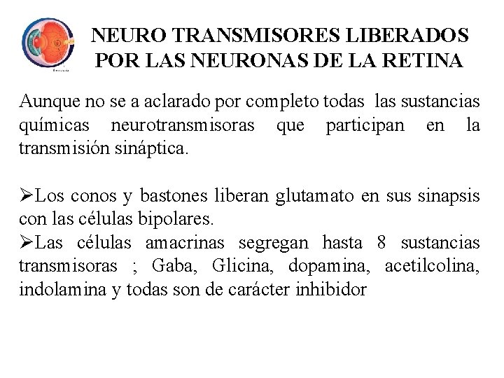 NEURO TRANSMISORES LIBERADOS POR LAS NEURONAS DE LA RETINA Aunque no se a aclarado