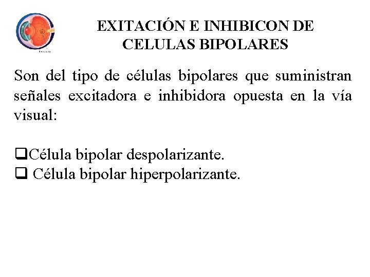 EXITACIÓN E INHIBICON DE CELULAS BIPOLARES Son del tipo de células bipolares que suministran