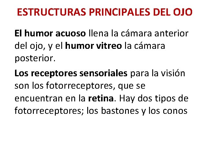 ESTRUCTURAS PRINCIPALES DEL OJO El humor acuoso llena la cámara anterior del ojo, y