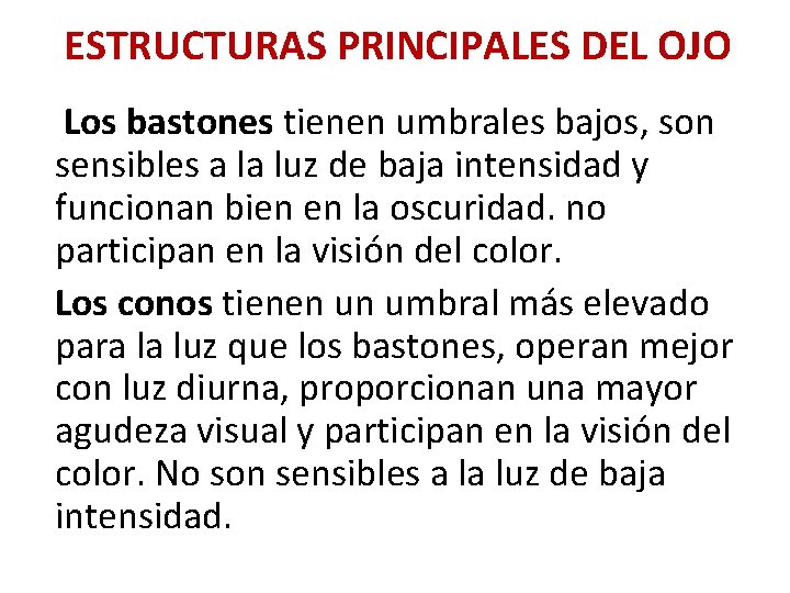 ESTRUCTURAS PRINCIPALES DEL OJO Los bastones tienen umbrales bajos, son sensibles a la luz