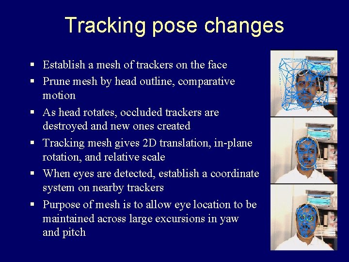 Tracking pose changes § Establish a mesh of trackers on the face § Prune