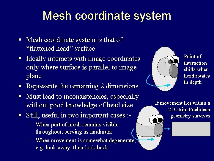 Mesh coordinate system § Mesh coordinate system is that of “flattened head” surface §
