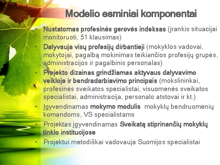 Modelio esminiai komponentai • Nustatomas profesinės gerovės indeksas (įrankis situacijai monitoruoti, 51 klausimas) •