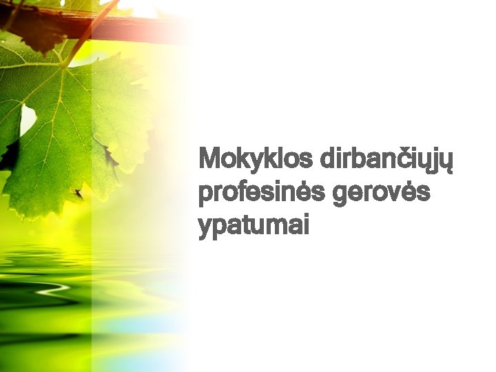 Mokyklos dirbančiųjų profesinės gerovės ypatumai 