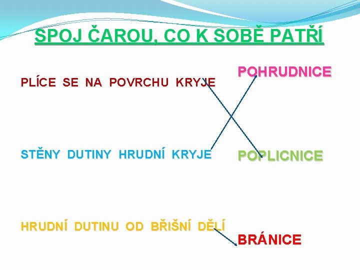 SPOJ ČAROU, CO K SOBĚ PATŘÍ PLÍCE SE NA POVRCHU KRYJE STĚNY DUTINY HRUDNÍ