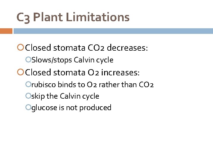 C 3 Plant Limitations Closed stomata CO 2 decreases: Slows/stops Calvin cycle Closed stomata