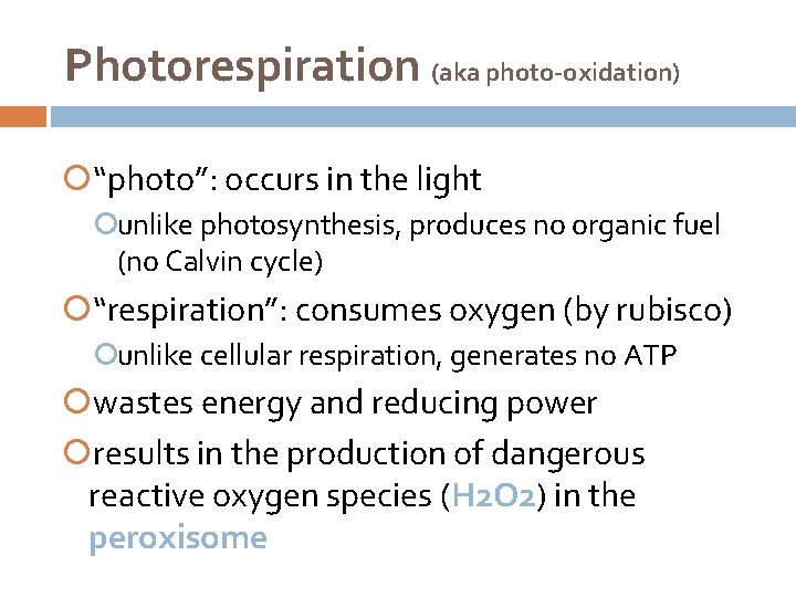 Photorespiration (aka photo-oxidation) “photo”: occurs in the light unlike photosynthesis, produces no organic fuel